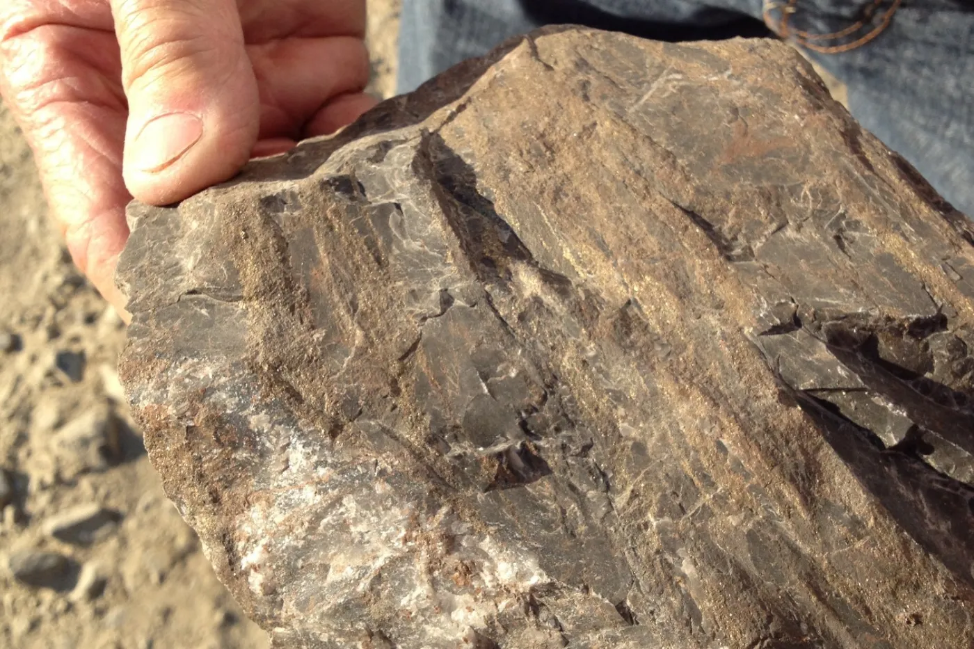 A slab of dark rock held up by hand