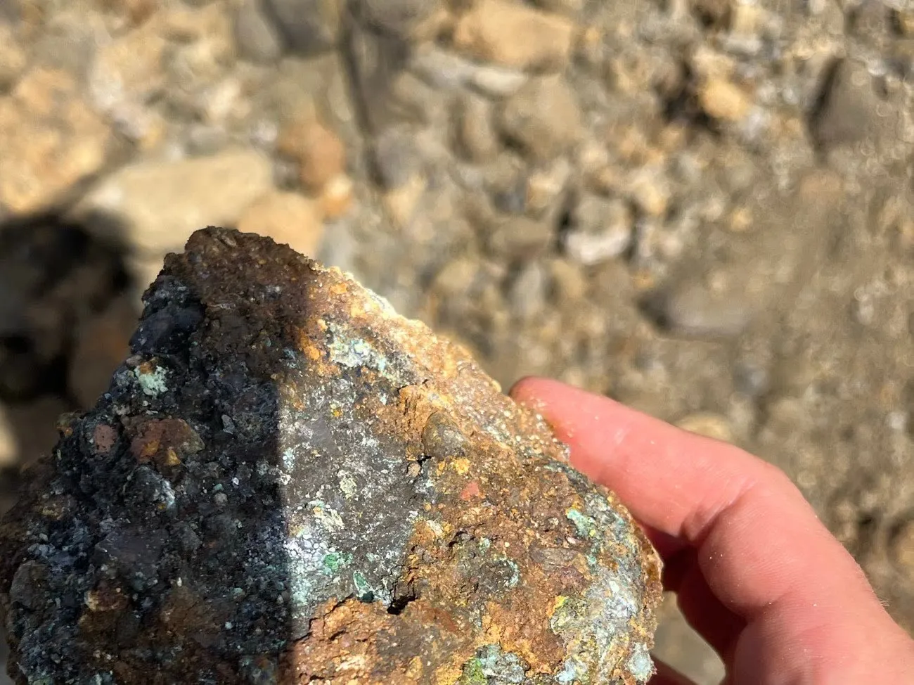 A piece of weathered, mineralised rock from the site held in the hand